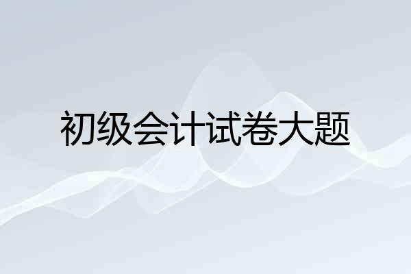 初级会计试卷大题