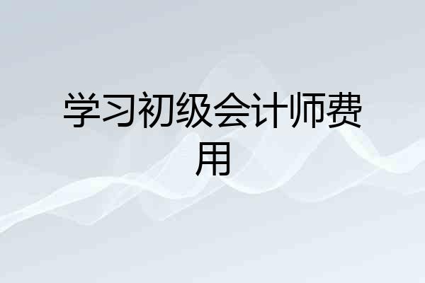 学习初级会计师费用