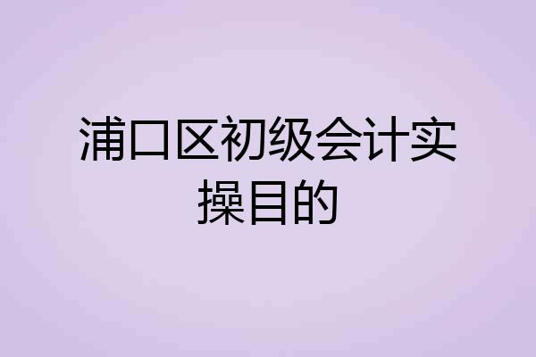 浦口区初级会计实操目的