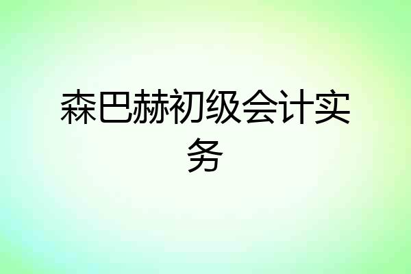 森巴赫初级会计实务
