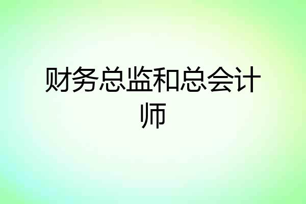 财务总监和总会计师