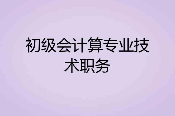 初级会计算专业技术职务