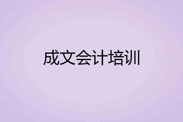成文会计培训