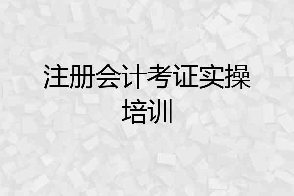 注册会计考证实操培训