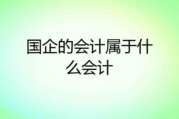 国企的会计属于什么会计