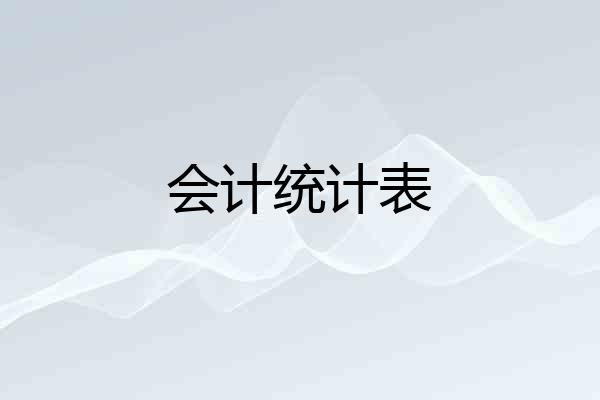 会计统计表