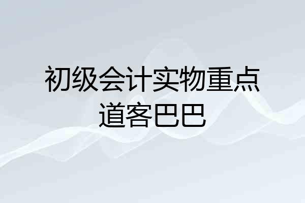 初级会计实物重点道客巴巴