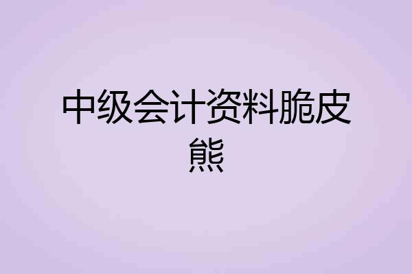 中级会计资料脆皮熊