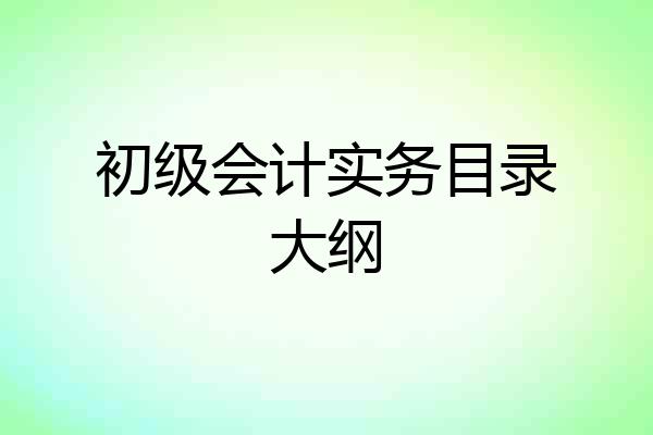初级会计实务目录大纲