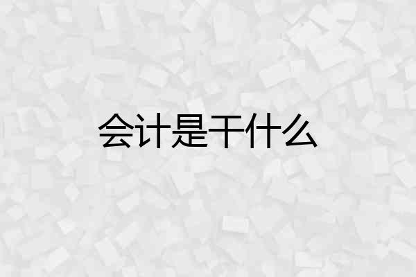 会计是干什么