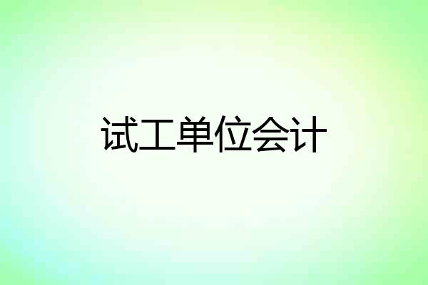 试工单位会计