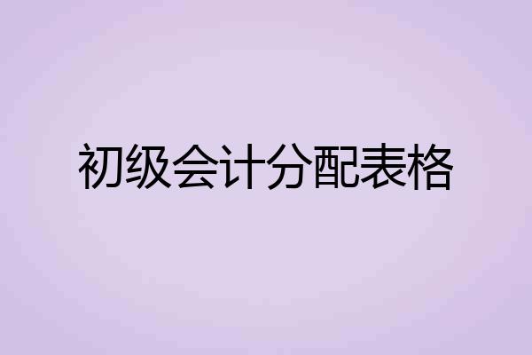 初级会计分配表格