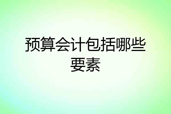 预算会计包括哪些要素