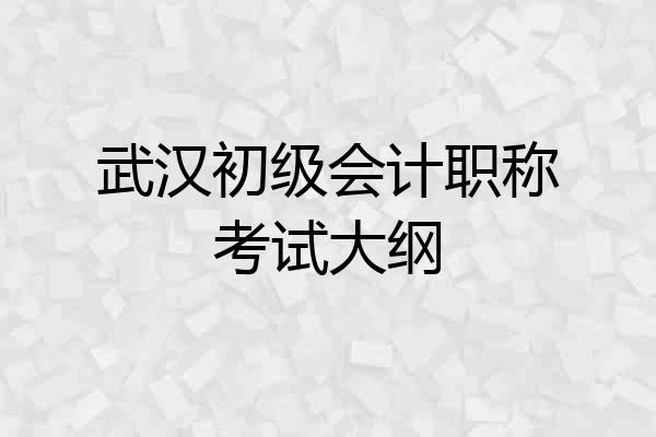 武汉初级会计职称考试大纲