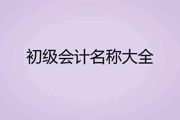 初级会计名称大全