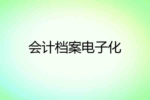 会计档案电子化
