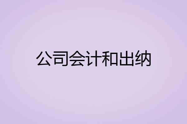 公司会计和出纳