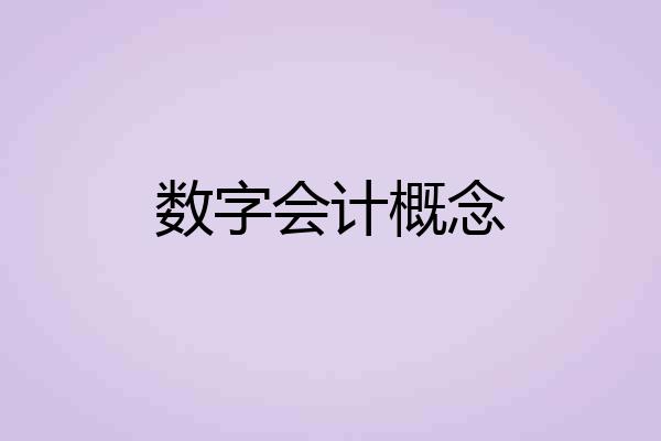 数字会计概念