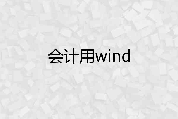 会计用wind