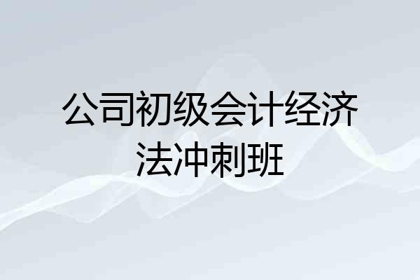 公司初级会计经济法冲刺班