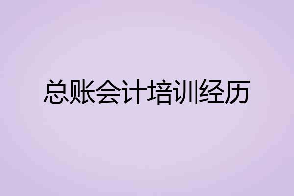 总账会计培训经历