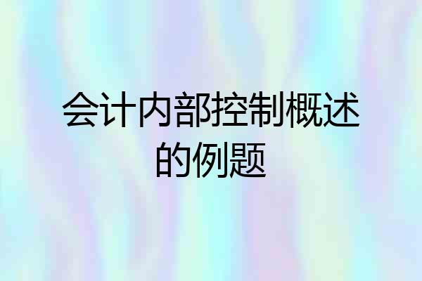 会计内部控制概述的例题