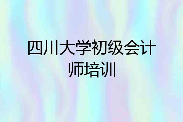 四川大学初级会计师培训