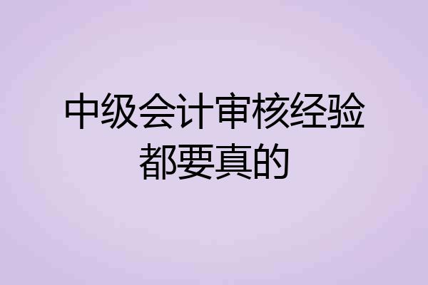 中级会计审核经验都要真的