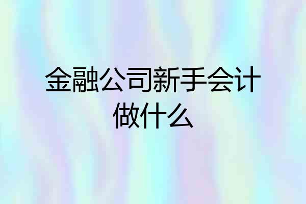 金融公司新手会计做什么