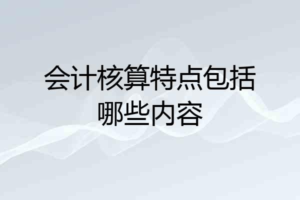 会计核算特点包括哪些内容