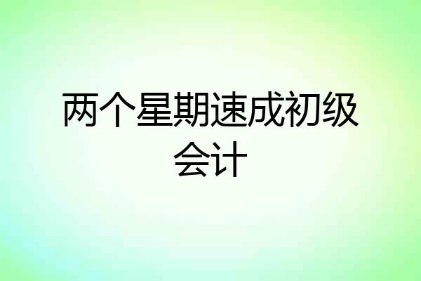 两个星期速成初级会计