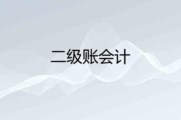 二级账会计