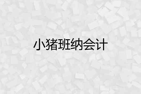 小猪班纳会计
