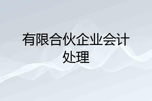 有限合伙企业会计处理
