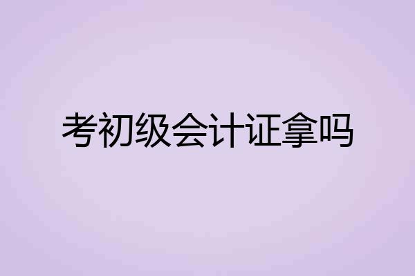 考初级会计证拿吗