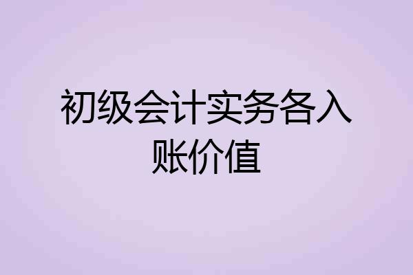初级会计实务各入账价值