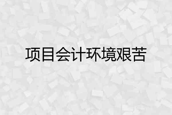 项目会计环境艰苦