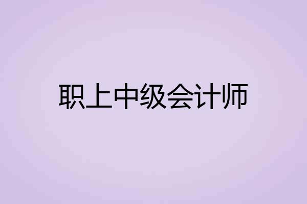 职上中级会计师