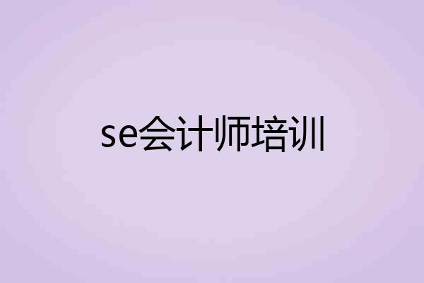 se会计师培训