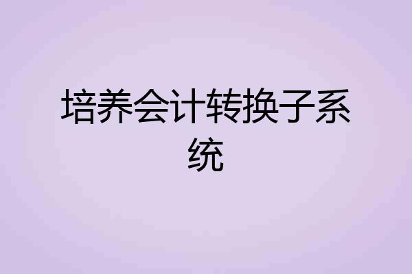 培养会计转换子系统