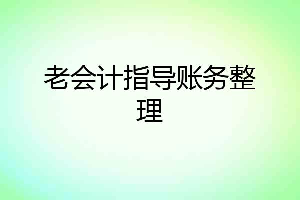老会计指导账务整理