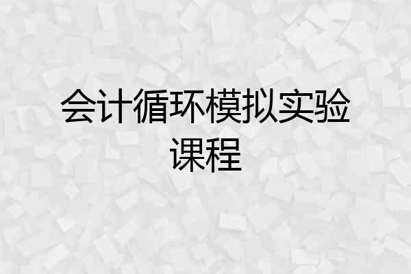 会计循环模拟实验课程