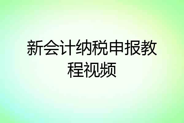 新会计纳税申报教程视频