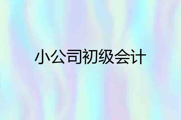 小公司初级会计