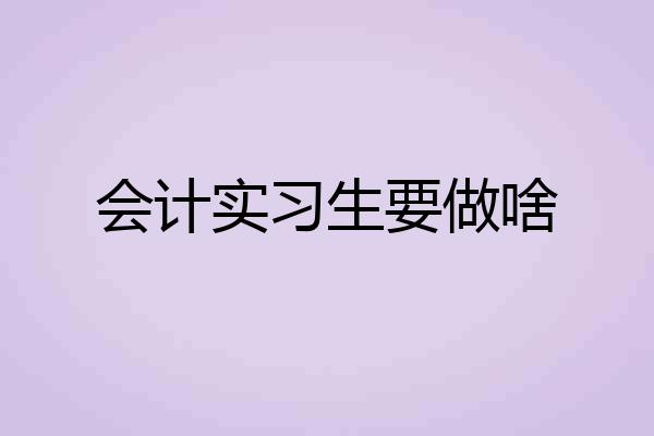会计实习生要做啥