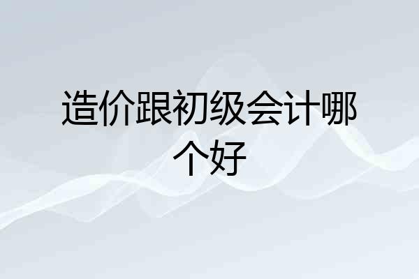造价跟初级会计哪个好