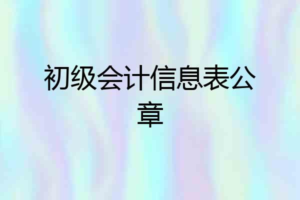 初级会计信息表公章