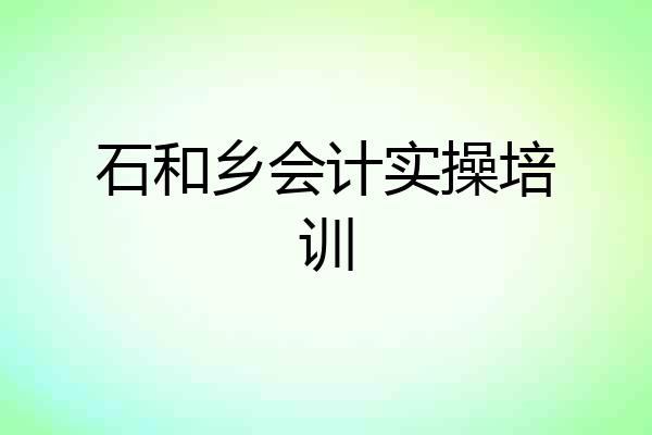 石和乡会计实操培训