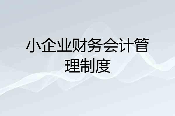 小企业财务会计管理制度
