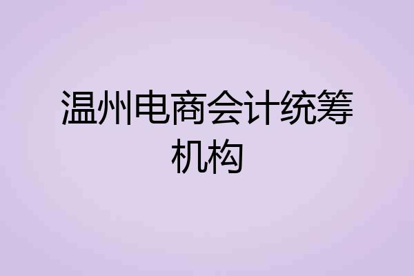 温州电商会计统筹机构